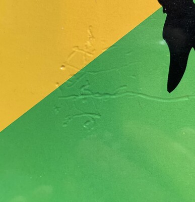 DANCEHALL DIVAS-Jamaican Man 12