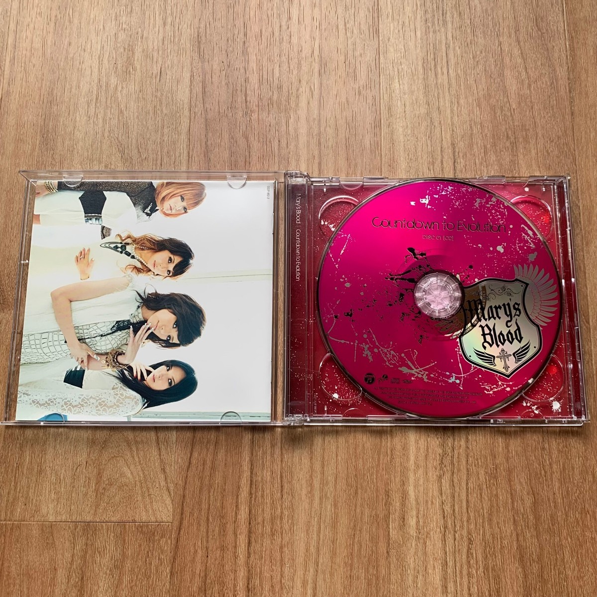 Mary's Blood Countdown to Evolution CD DVD First Press Limited