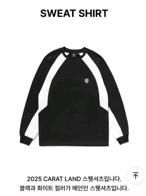 seventeen 2025 CARATLAND SWEATSHIRT | eBay