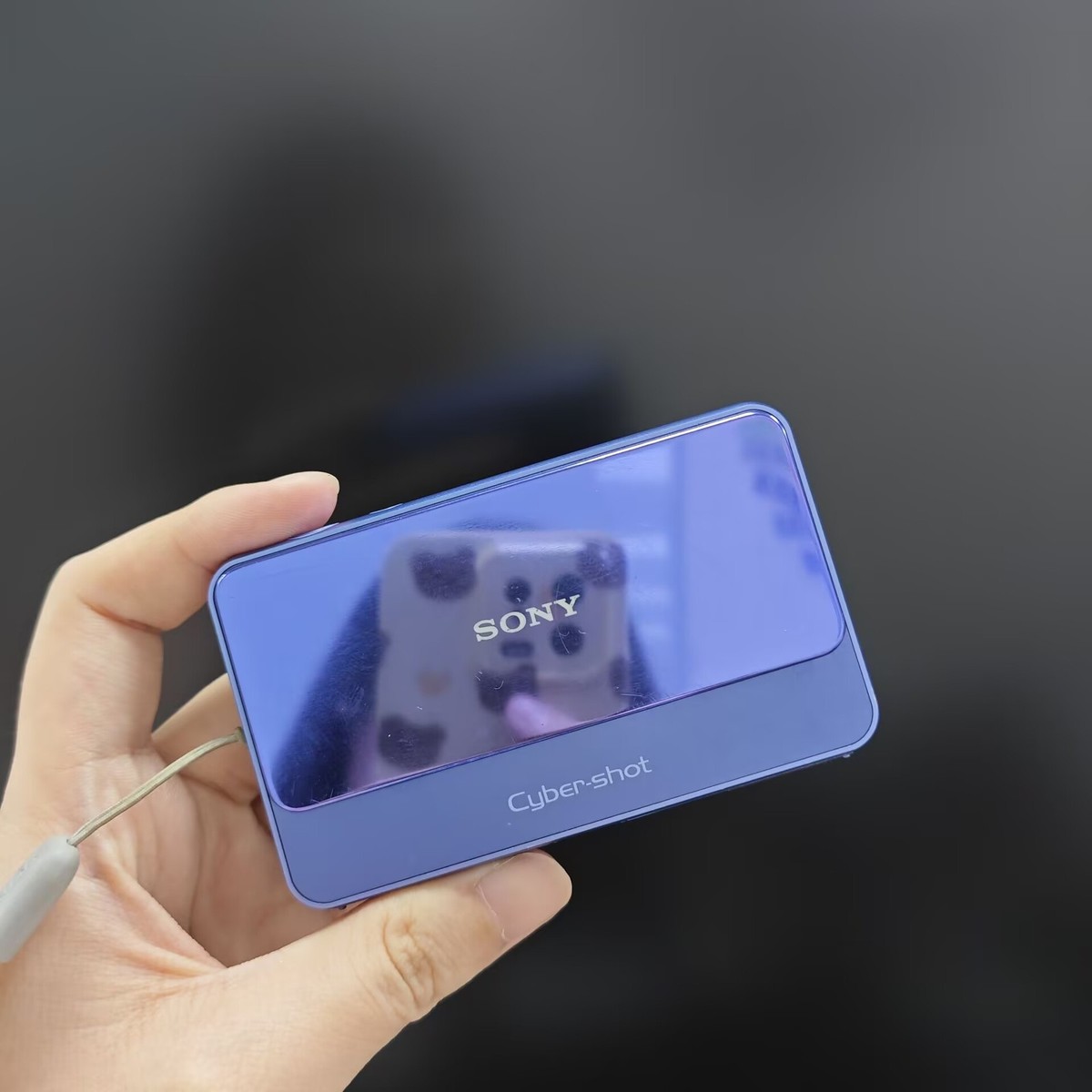 Sony Cyber-Shot DSC-T110 16.1MP 4x Optical Zoom Digital Camera