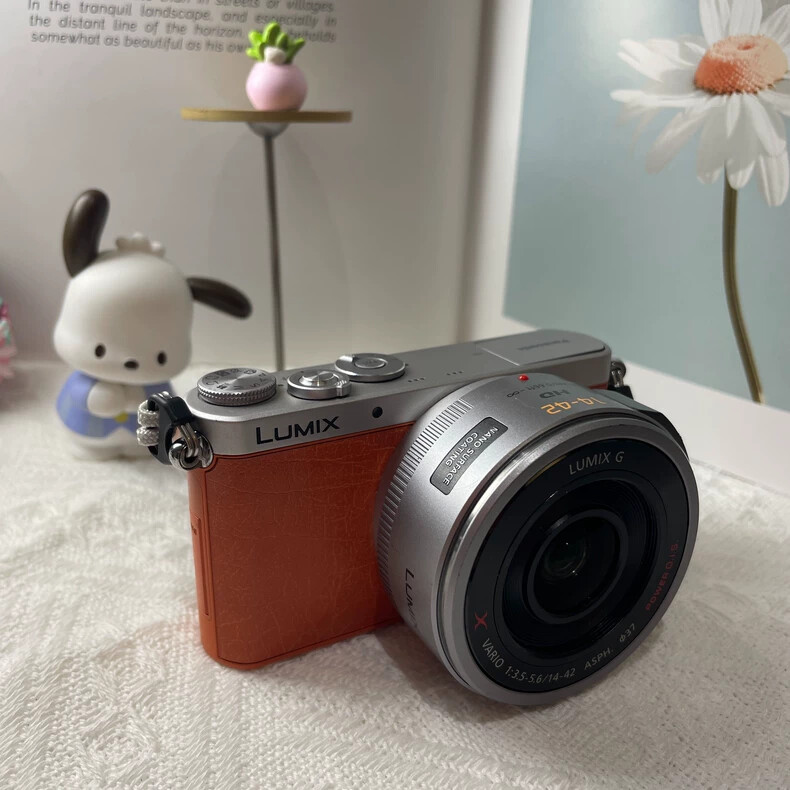 Panasonic LUMIX DMC-GM1 Digital Camera W/LUMIX G X Vario Power 14