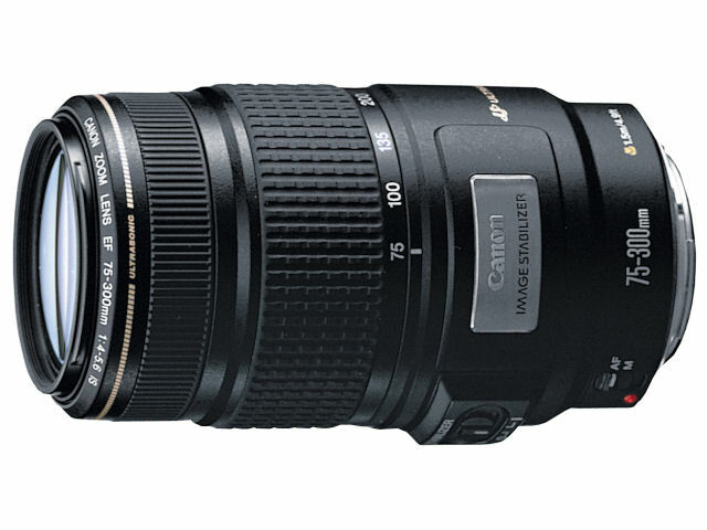Canon EF 75-300mm f/4-5.6 IS USM Zoom AF Lens | eBay