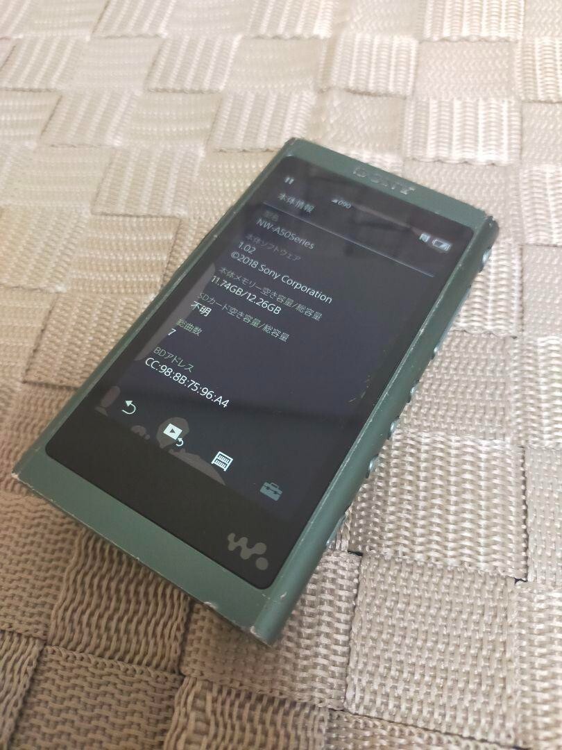 Sony NW-A55 Walkman Portable Audio Player Horizon Green Good GP | eBay