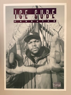 ICE CUBE, THE PREDATOR,HIP-HOP, RARE 1992 POSTER , LAST ONE!! | eBay