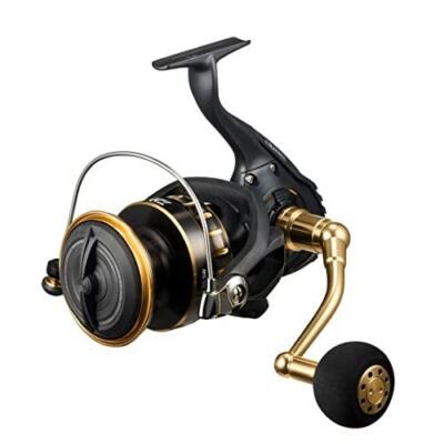 Daiwa 23 BG SW 18000 Spinning Reel | eBay