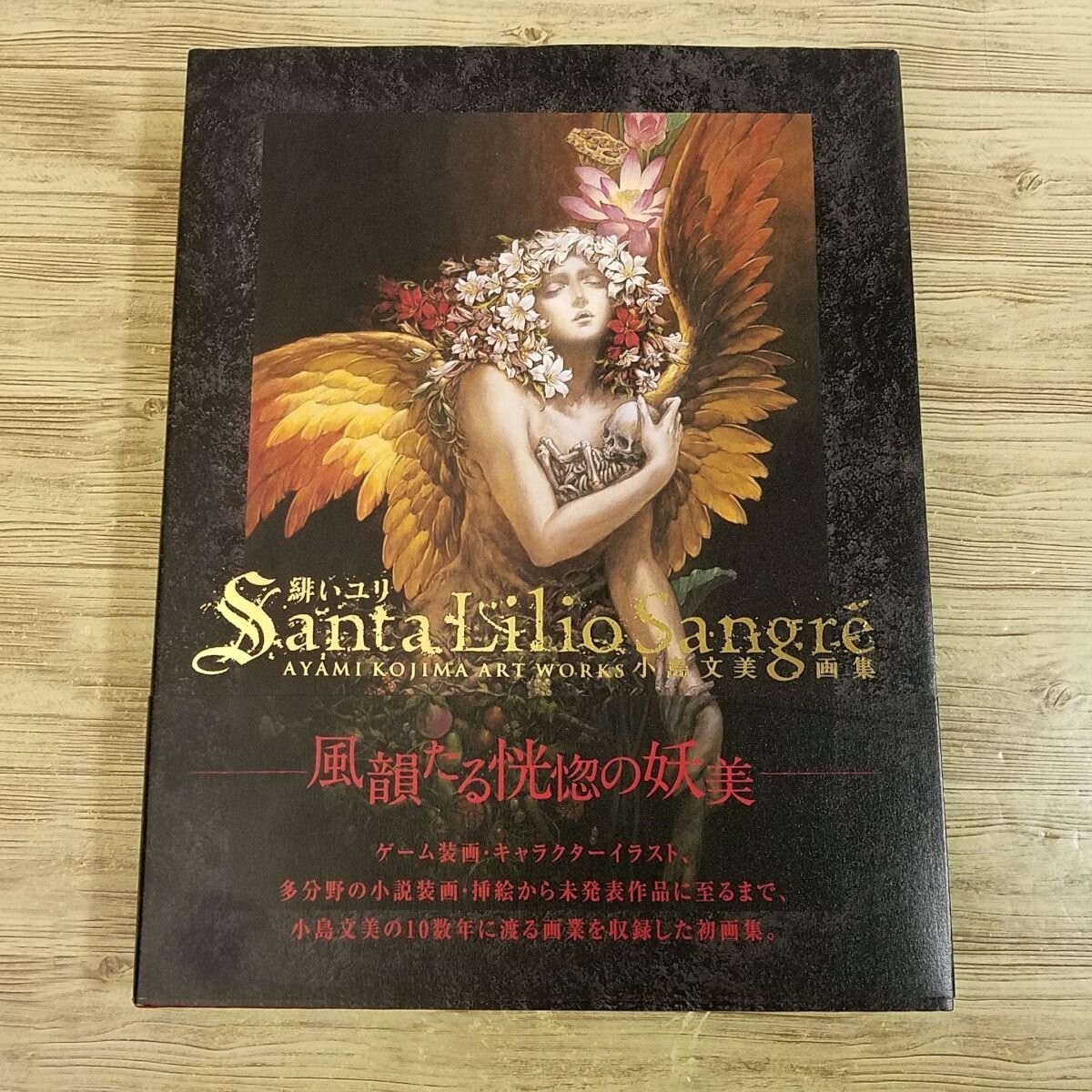 Santa Lilio Sangre Hard cover Art Book Kojima Ayami Akai Yuri