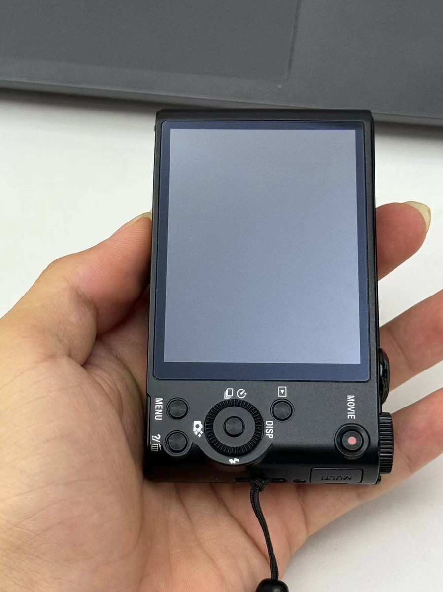 SONY Cyber-shot DSC-WX300 21.1MP 20x Zoom Compact Digital Camera