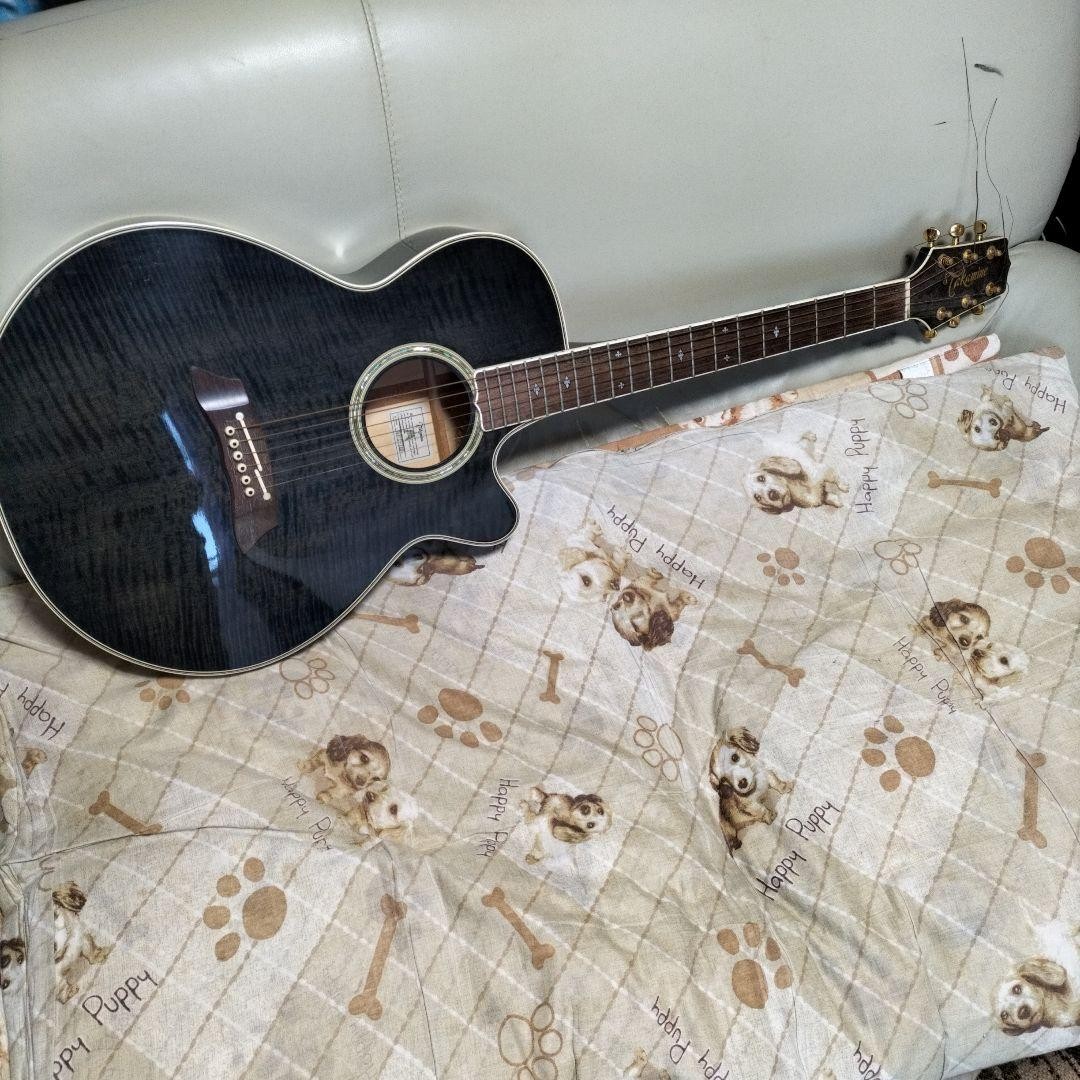 Electric Acoustic Guitar Takamine NPT-110 Black w/ Accuracoustic