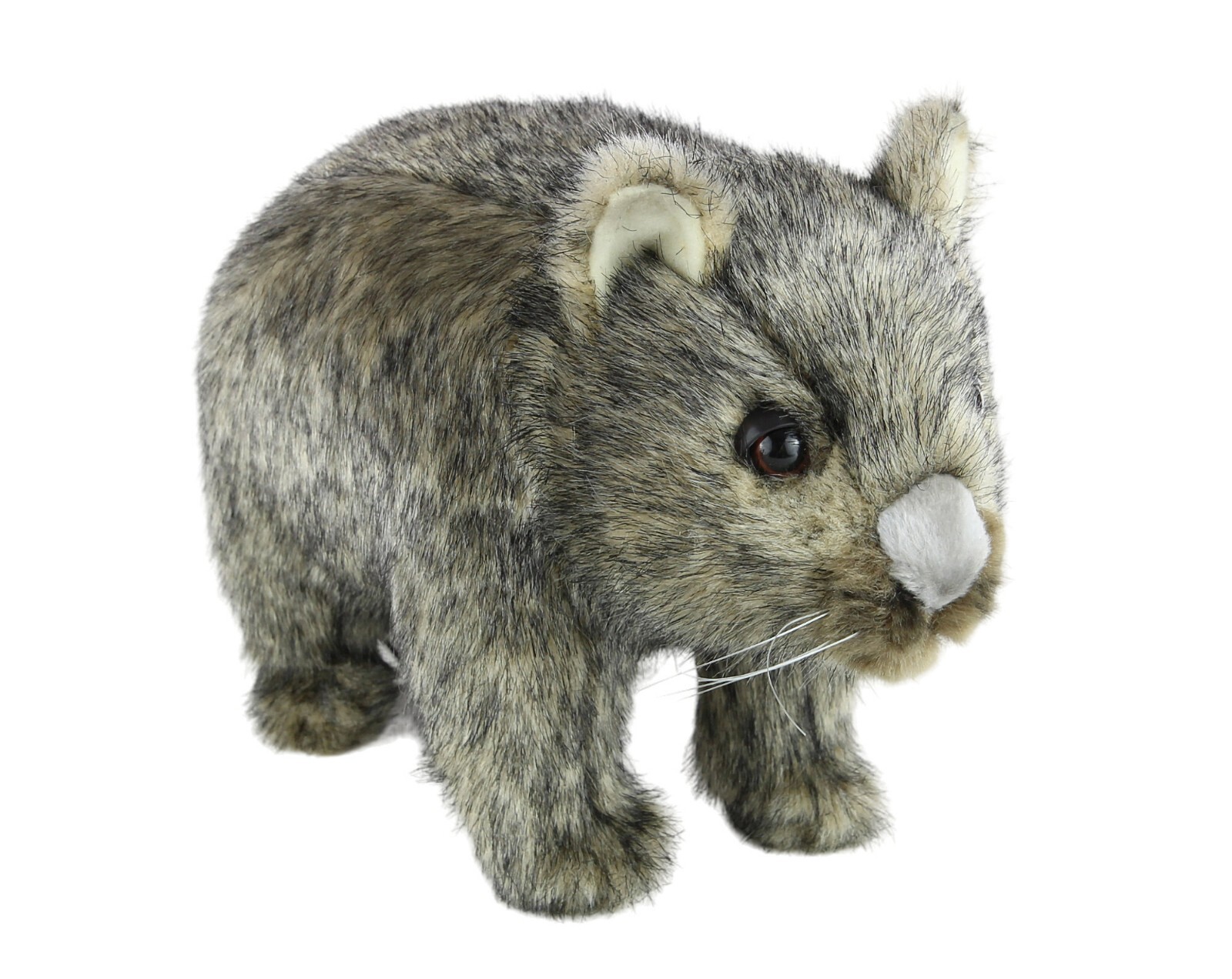 $_57.JPG?set_id=880000500F