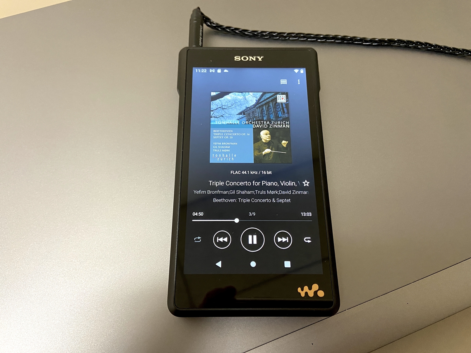 Sony NW-WM1AM2 128GB Walkman Digital Music Player | eBay