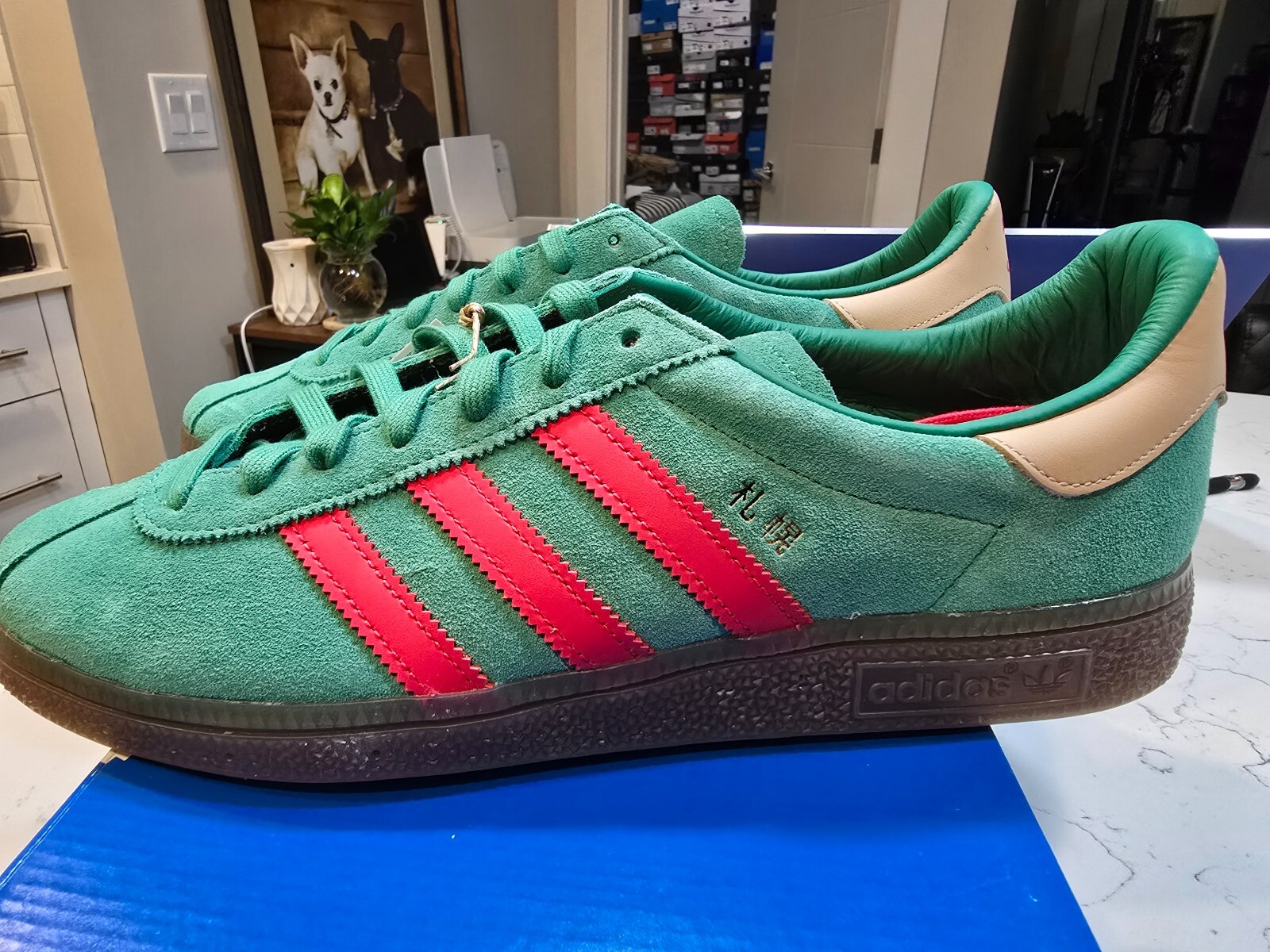 $_57.JPG?set_id=880000500F