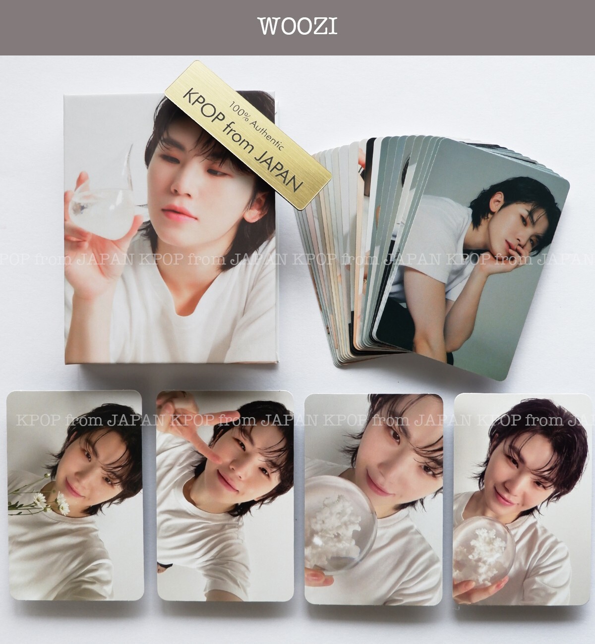 $_57.JPG?set_id=880000500F