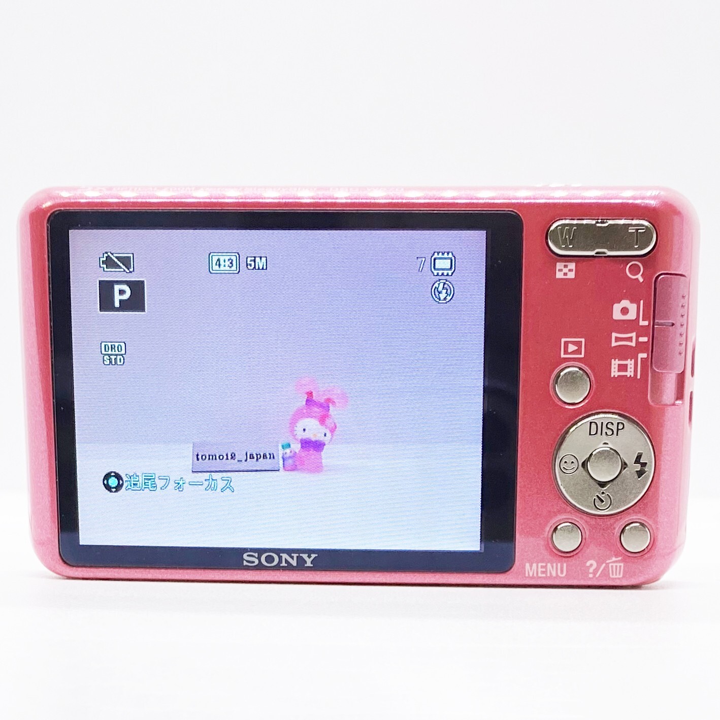 SONY Cyber-shot DSC-W570 Pink 5x Zoom 16.1 MP Digital Camera Fast