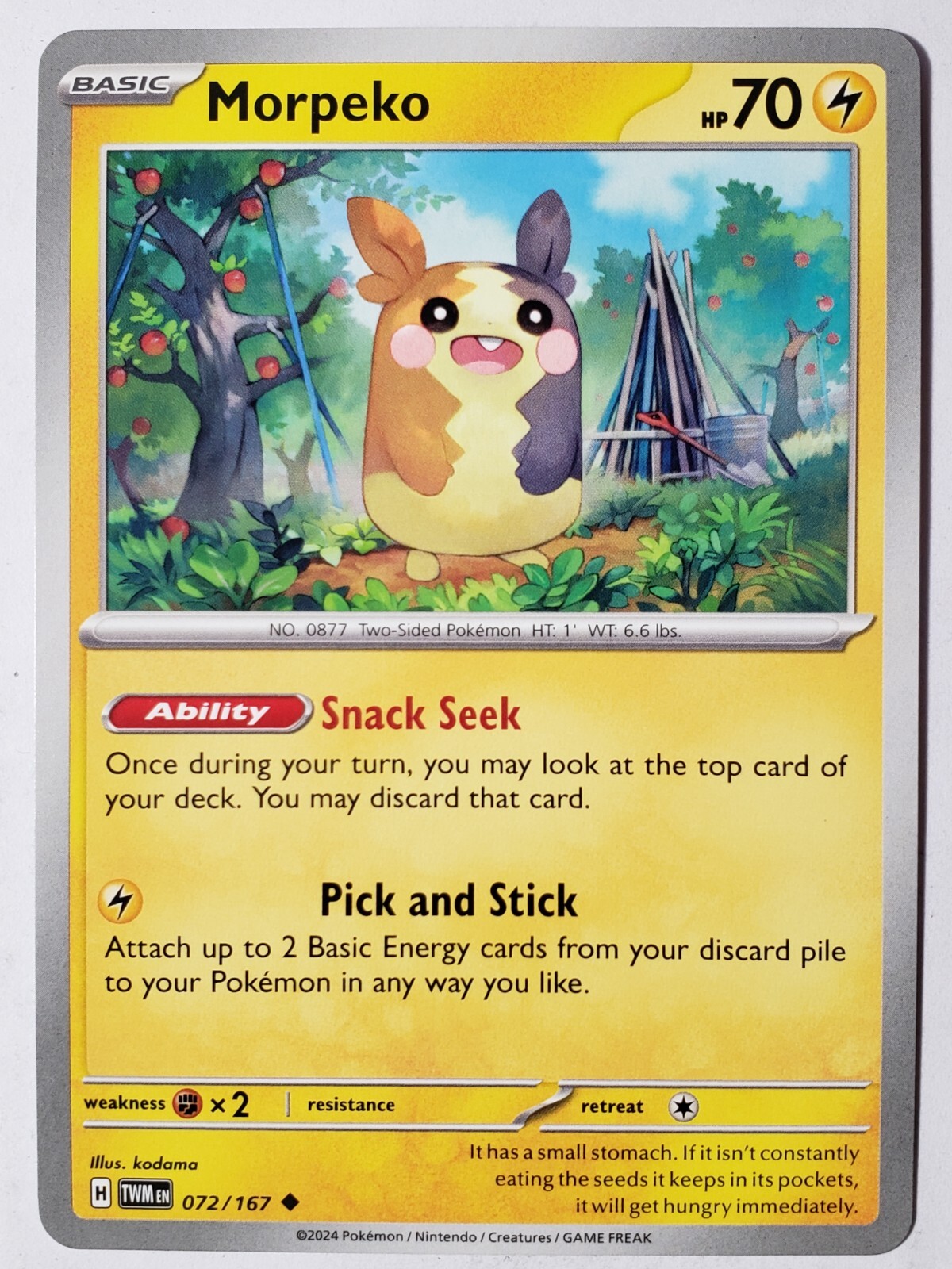 $_57.JPG?set_id=880000500F