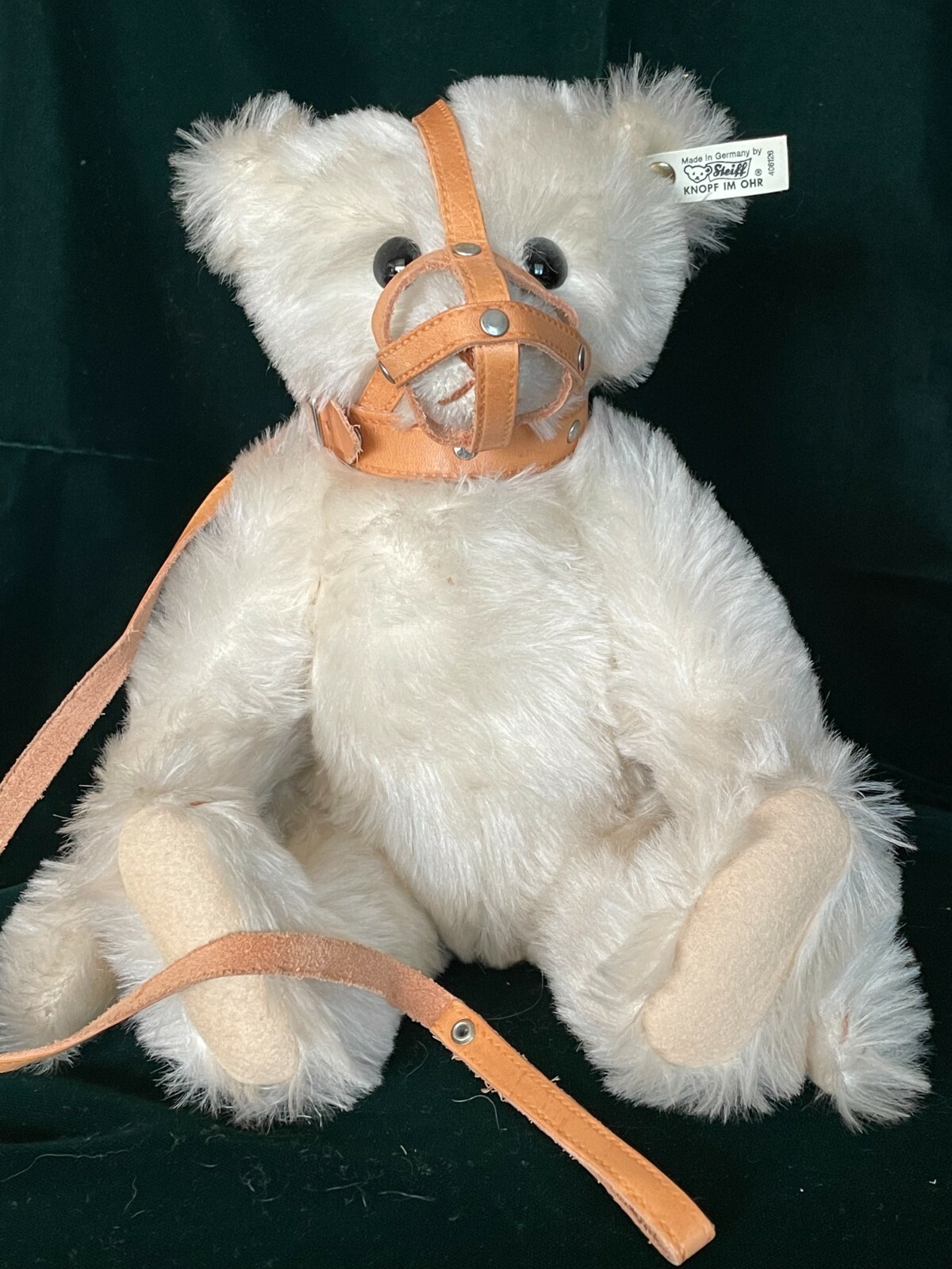 $_57.JPG?set_id=8800005007