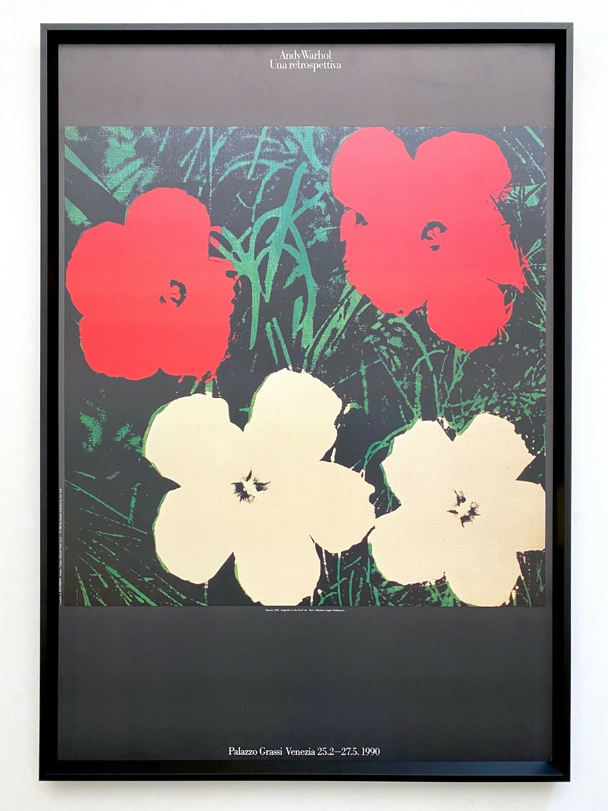 $_57.JPG?set_id=8800005007