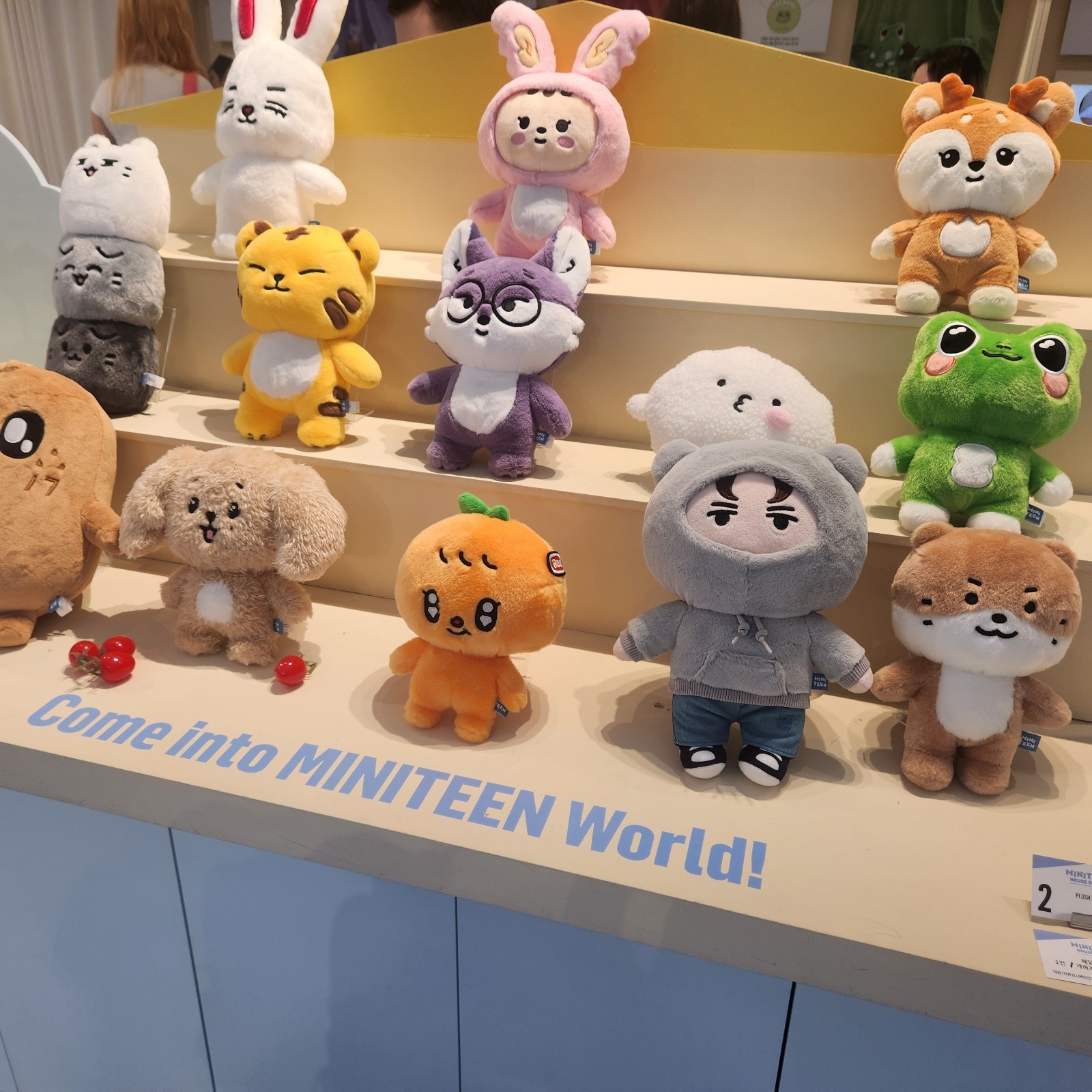 SEVENTEEN plush toy MINITEEN HOUSE PARTY SEVENTEEN Official