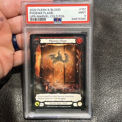 $_12.JPG?set_id=880000500F