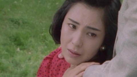 江戸川乱歩の美女シリーズ 妖しい稲妻の美女 江戸川乱歩の「魔術師