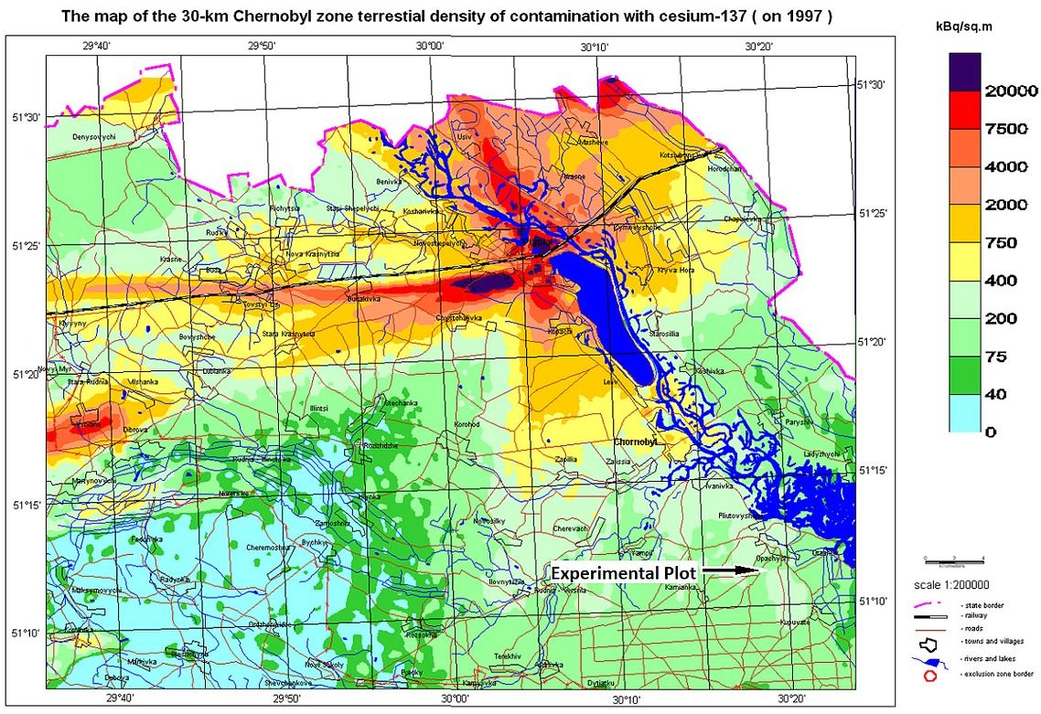 チェルノブイリ原発事故による立ち入り禁止区域の穀物と水を100％使用