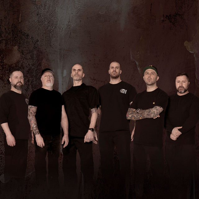 Despised Icon | Spotify