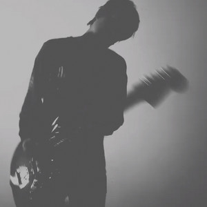 Fleeting Joys | Spotify