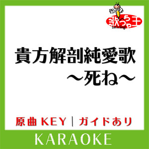 CD 〜死ね〜 ★超レア★あいみょん　貴方解剖純愛歌