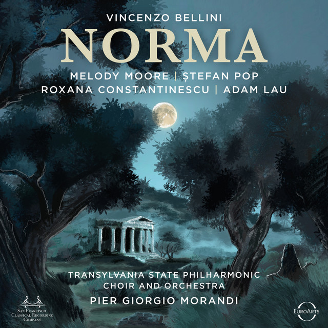 NORMA V クラシック BELLINI