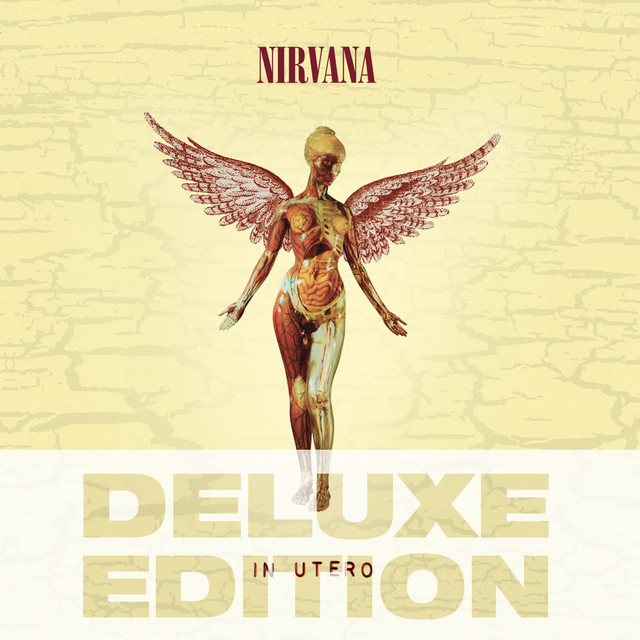 In Utero - 20th Anniversary - Deluxe Edition - Album by Nirvana