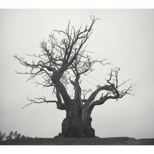 SEKAI NO OWARI 2010-2019 - Compilation by SEKAI NO OWARI | Spotify