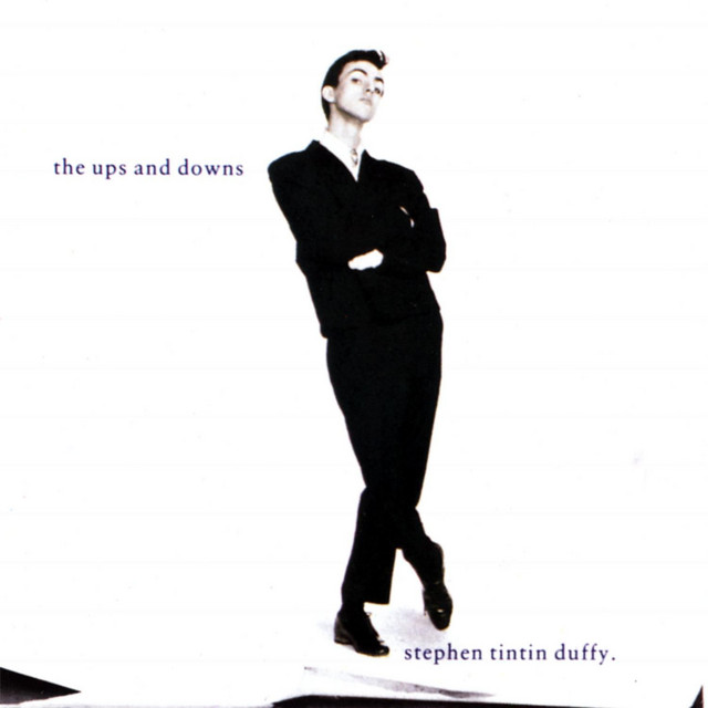 The Ups And Downs - Album by Stephen Duffy | Spotify