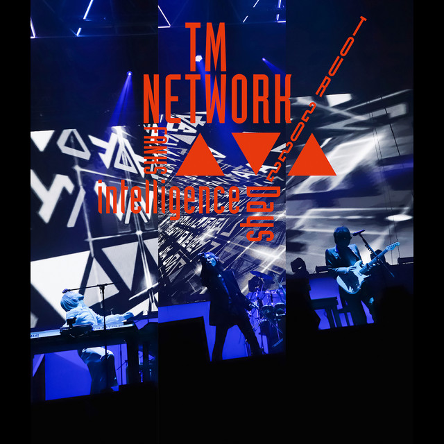 NETWORK/TOUR TM intelligenc… 2022\