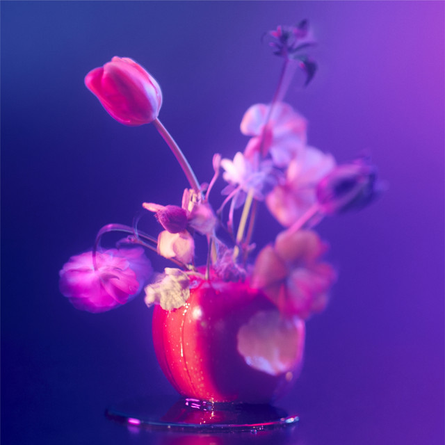 ラストシーン - Single by Anonymouz | Spotify