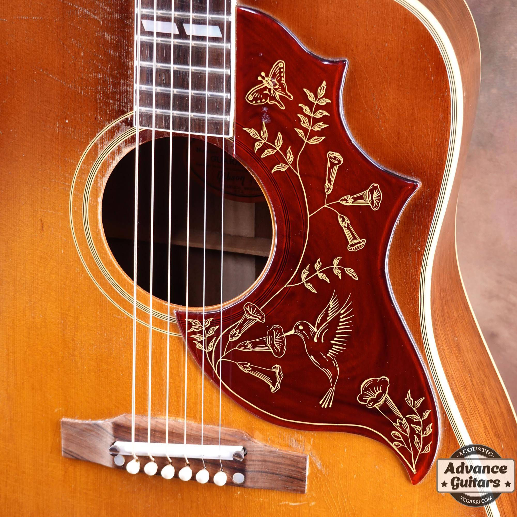 12弦でハミング！by Gibson ハミングバード12弦 エレアコ 音出し良好