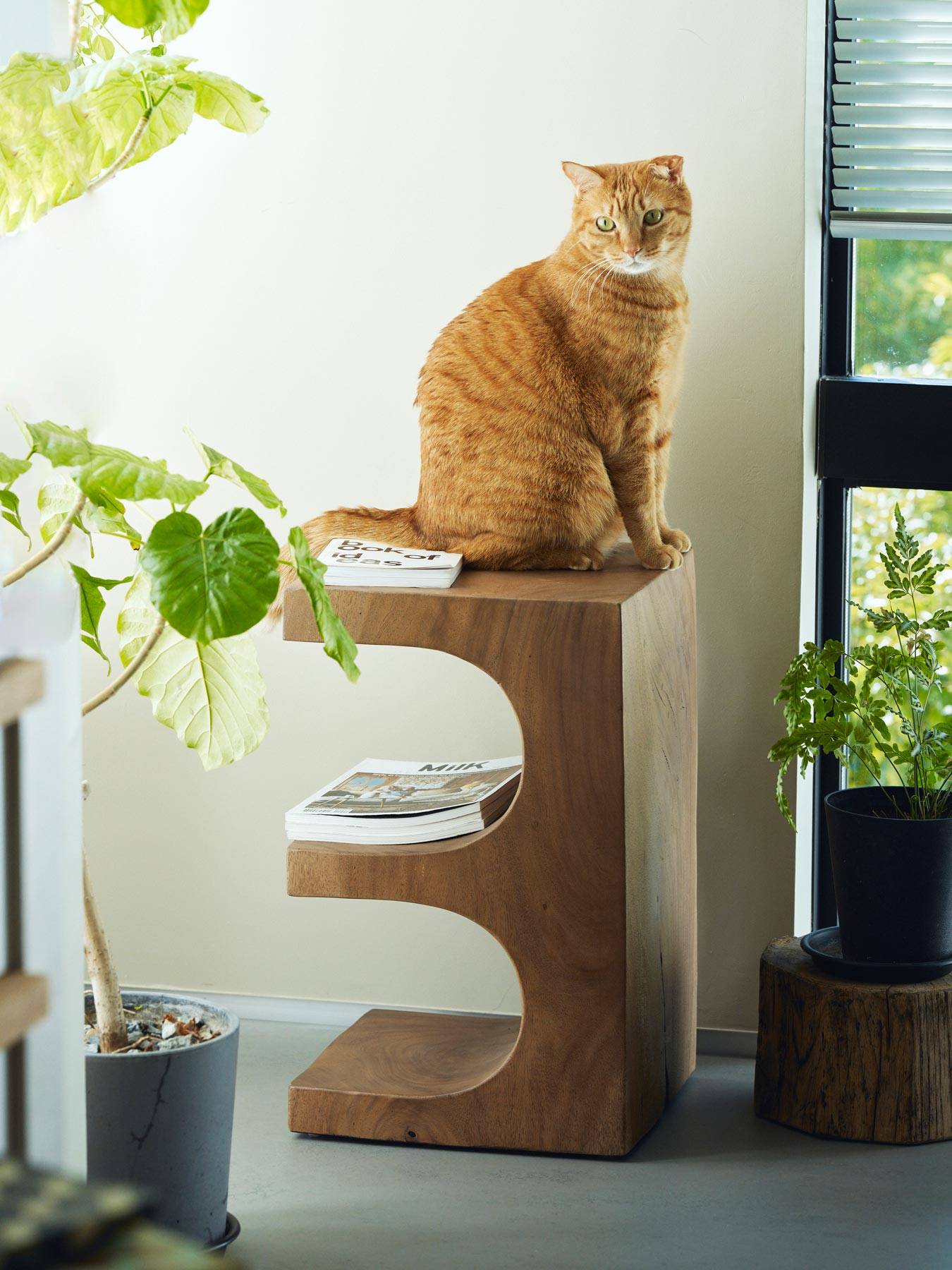 オルネコ・ネコひそみ サイドテーブル2403 – Orné de Feuilles