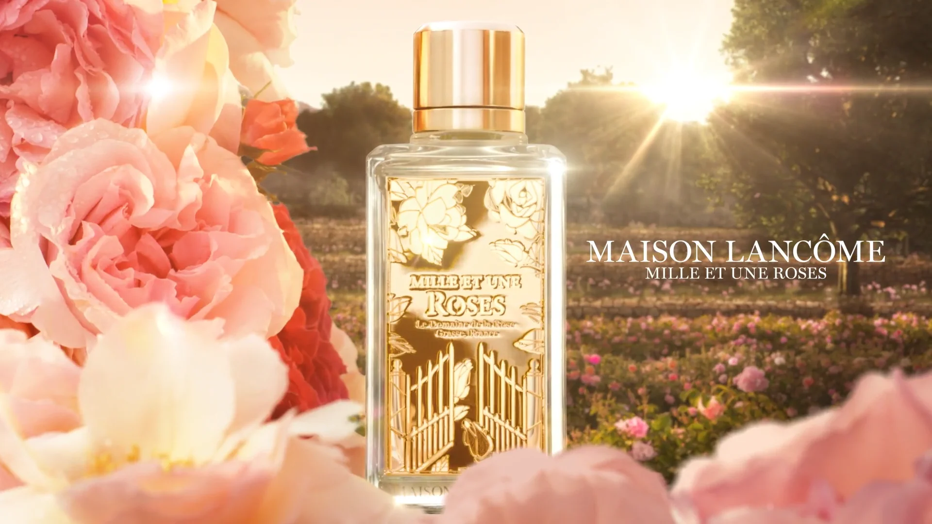 ランコム】ミル エ ユヌ ローズ（ルイーズ・ターナー） | カイエ・デ