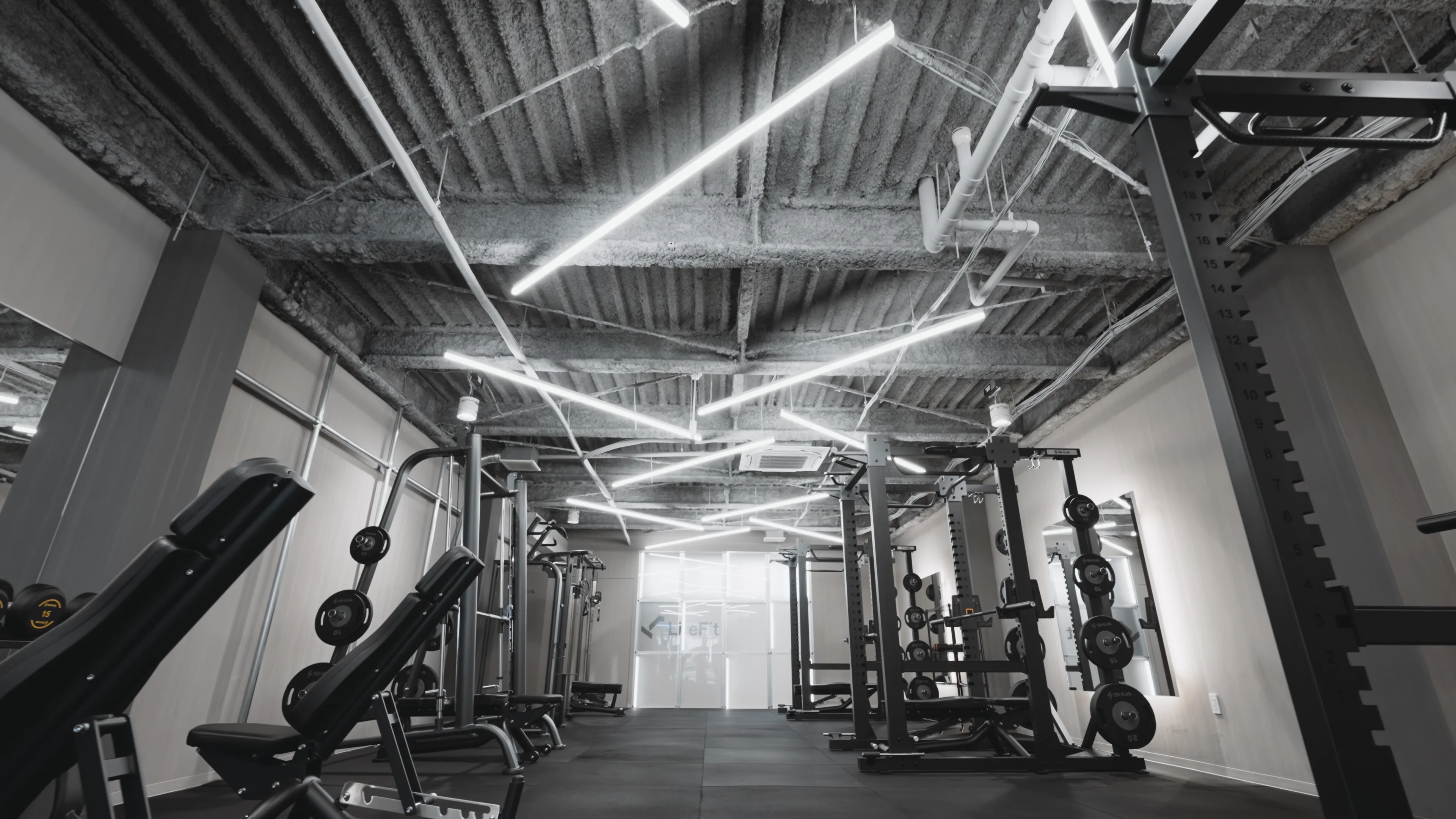 LIFE FIT デリアルエクサV ゴールド LIFE FIT デリアルエクサV