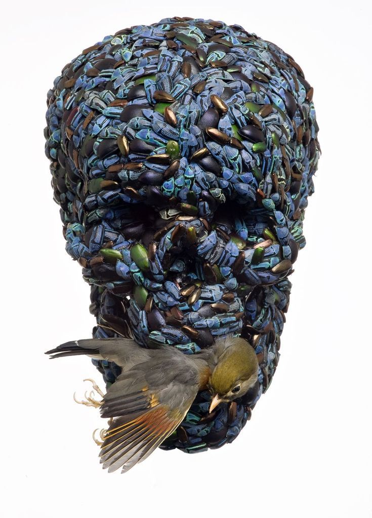 Jan Fabre / ヤン・ファーブル Jan Fabre: Insect Drawings & Insect