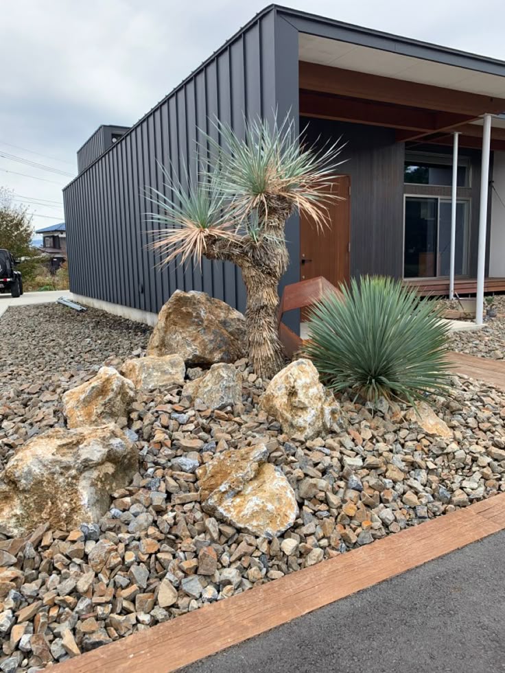 ドライガーデン