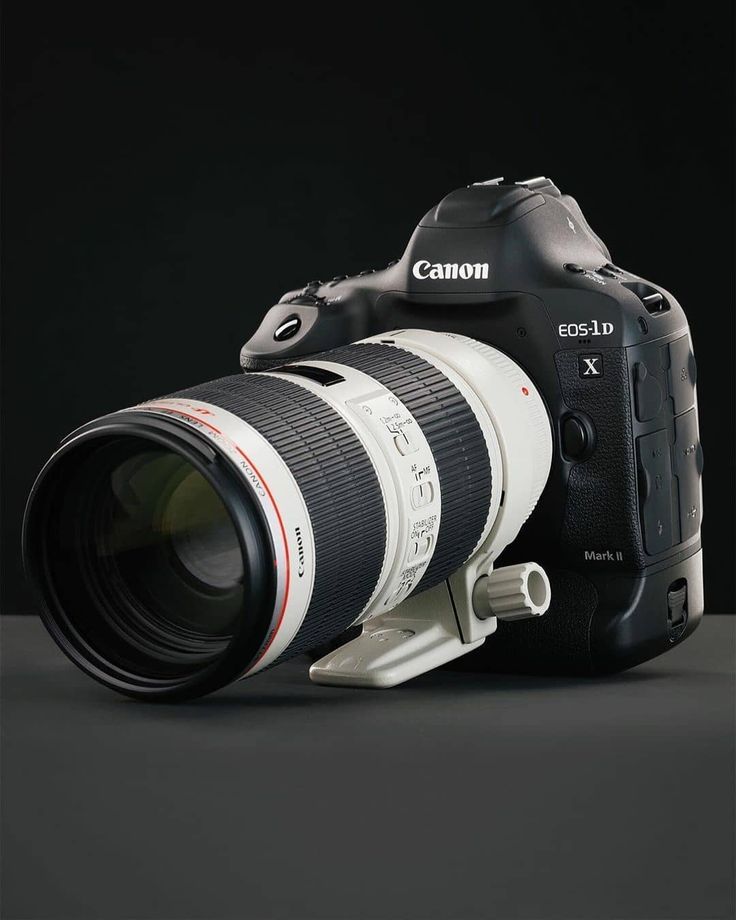 Canon EOS 1D X Mark II with Canon EF 70-200mm f/2.8 Lens