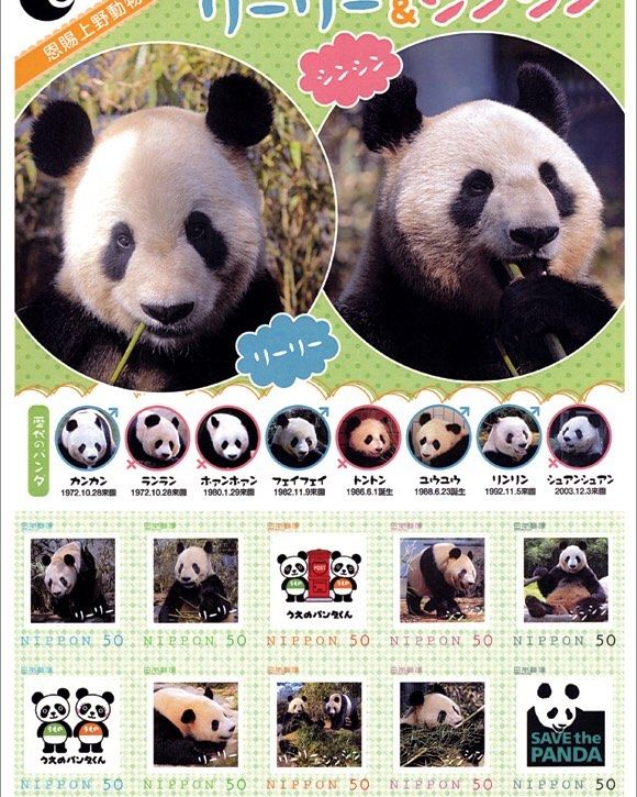 希少】上野歴代 パンダ 抄本 つなぐ 上野動物園 ジャイアントパンダの