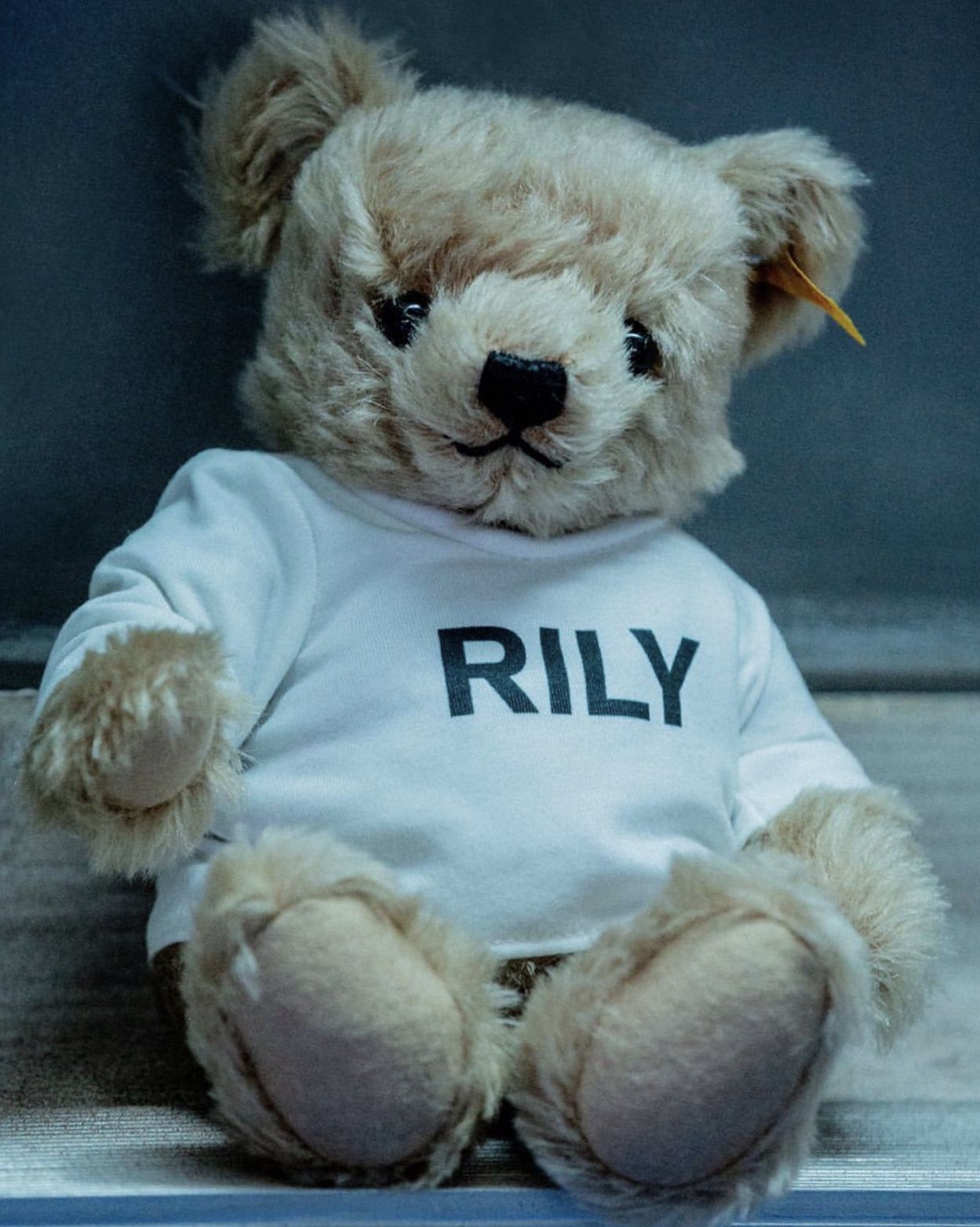 入手困難 シュタイフ Steiff RILY 今市隆二 コラボ テディベア 黒T