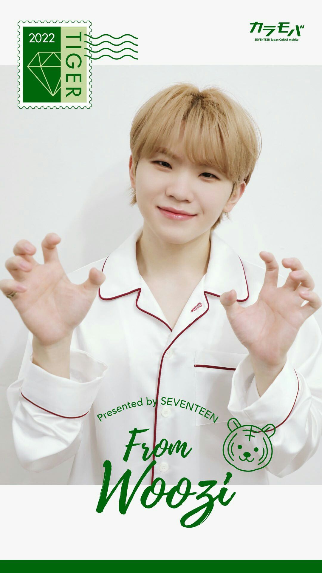 SEVENTEEN 세븐틴 ウジ うじ woozi 우지 歴代グッズ タオル SEVENTEEN