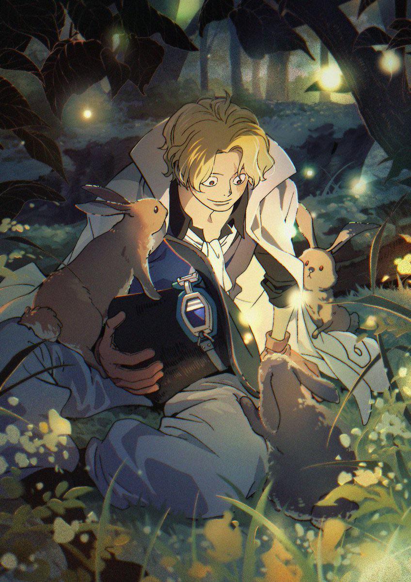 新しい公式サボの誕生日アート！ : r/OnePiece