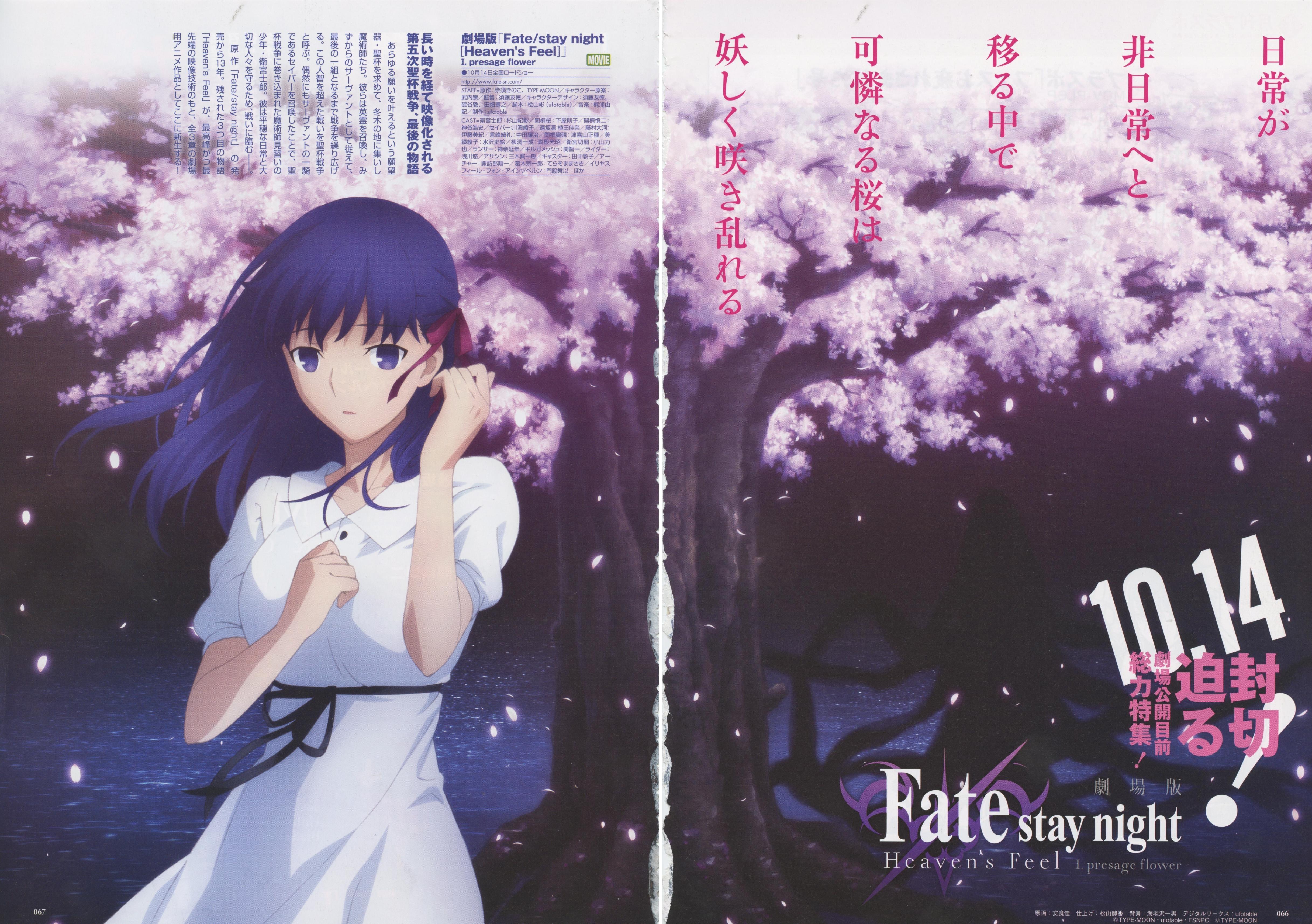 Fate/Stay Night [Heaven's Feel] I. Presage Flower arte oficial