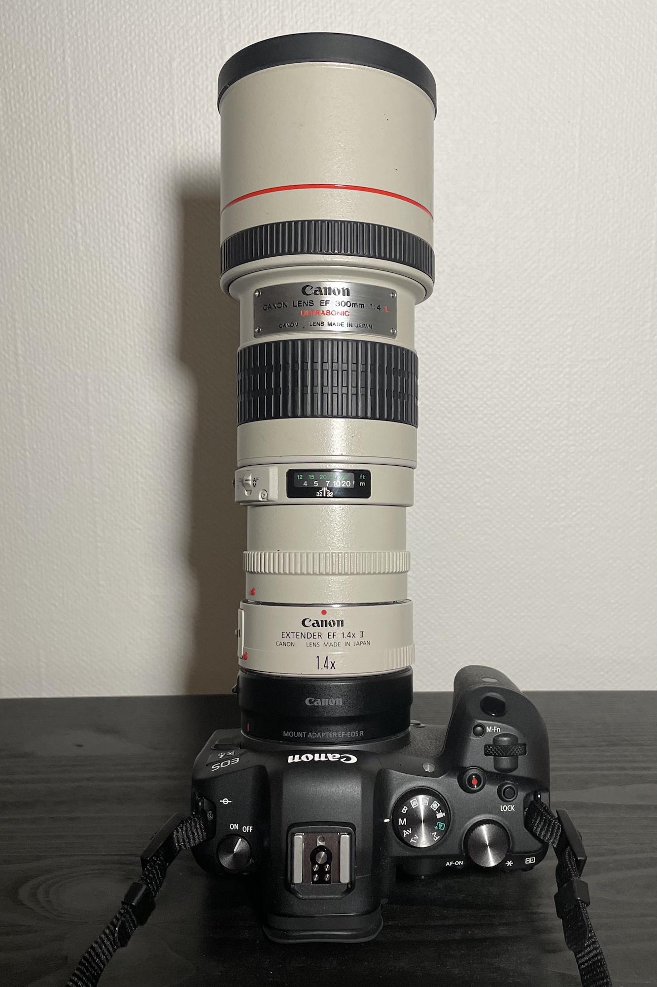 New Gear] 1.4x + Canon 300mm f4 L on Canon R6 : r/canon