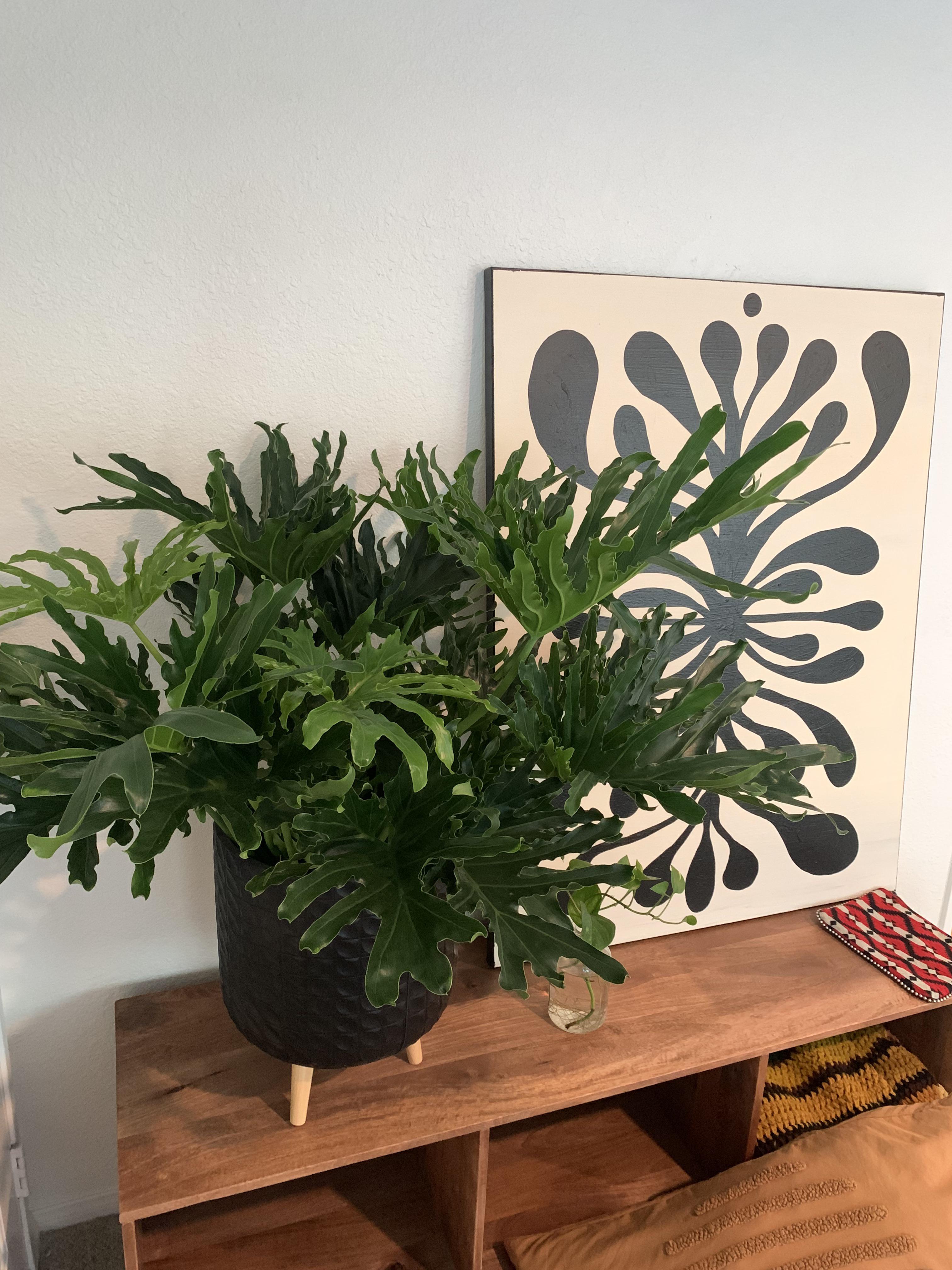 ☆新品☆JILUKA/XANADU JILUKA / XANADU (Best Album : preview) - YouTube