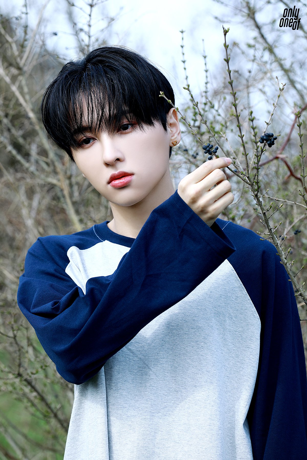 OnlyOneOf - produced by [myself] + unknown art pics 2.0 (NAVER