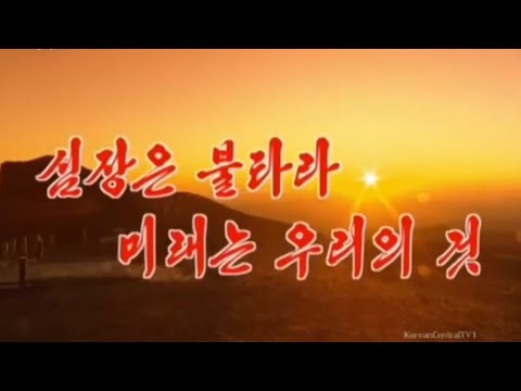 万寿台芸術団 / Mansudae Art Troupe - YouTube