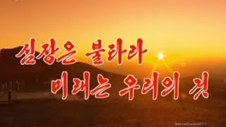 万寿台芸術団 / Mansudae Art Troupe - YouTube